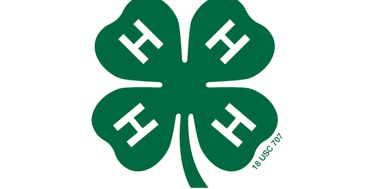 4-H Clover