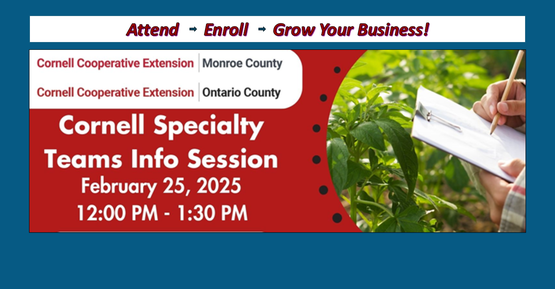 Cornell Teams Program Info Session