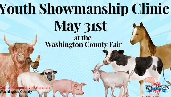 showmanship