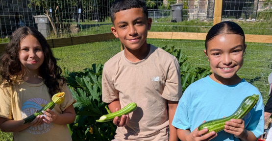 Veg Garden with Scouts
