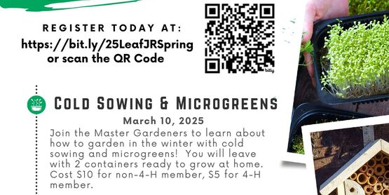 Flyer for the Leaf Jr. Conservation Series