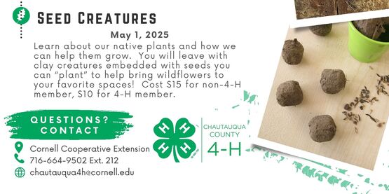 Flyer for the Leaf Jr. Conservation Series