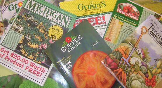 Seed Catalogs