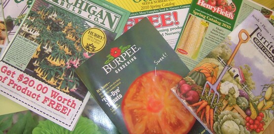 Seed Catalogs