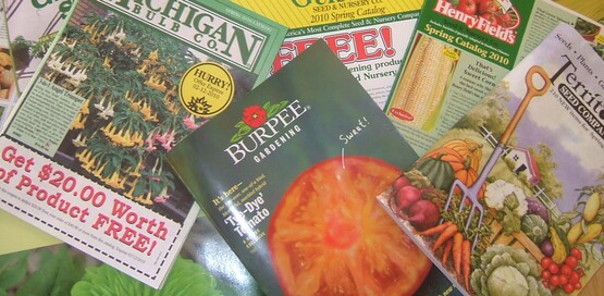Seed Catalogs