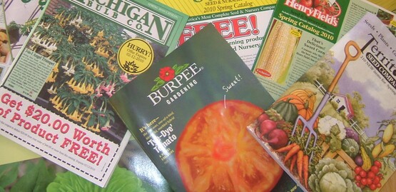 Seed Catalogs