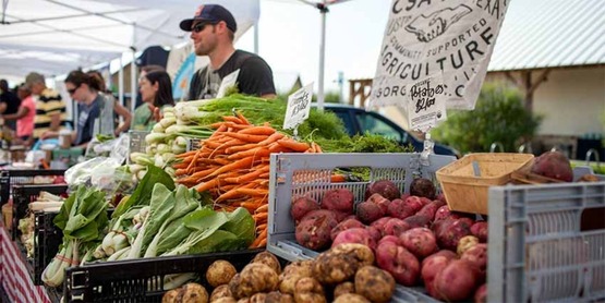 CSA farm stand, tent with vendor and boxes of fresh vegetables
