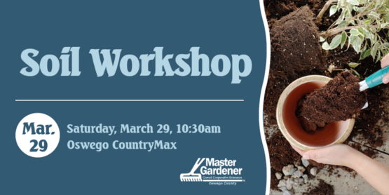Soil Workshop
