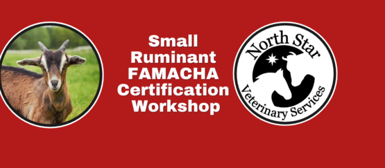 Small Ruminant FAMACHA Workshop