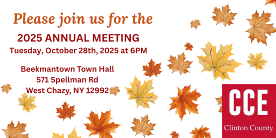 2025 Annual Meeting