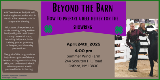 Beyond the Barn