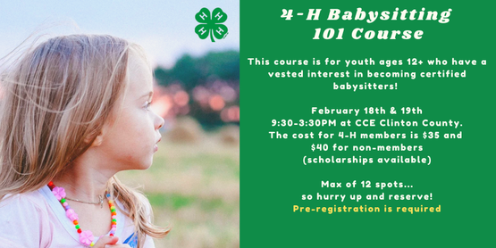 4-H Certified Babysitting Course