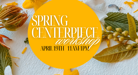 Spring Centrpiece