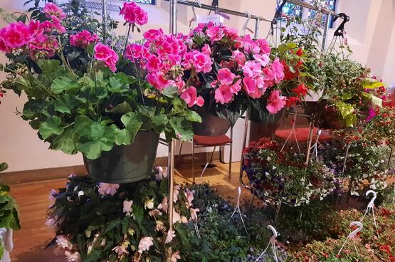 Plant Sale 
