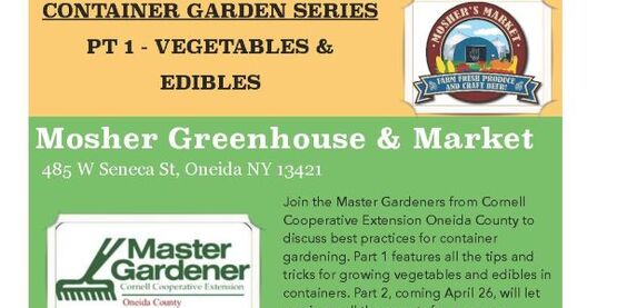 Container Gardening Edibles