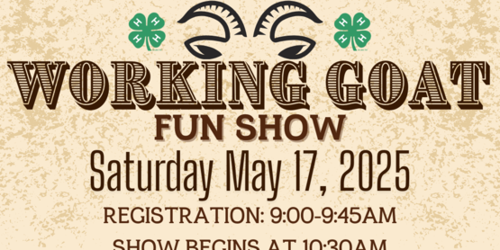 working goat fun show