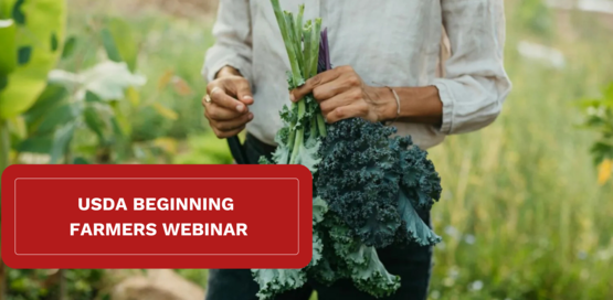 USDA Webinar