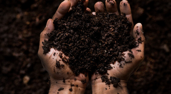 Holding Soil
