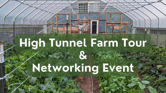 High Tunnel Networking
