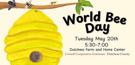 World Bee Day 2025