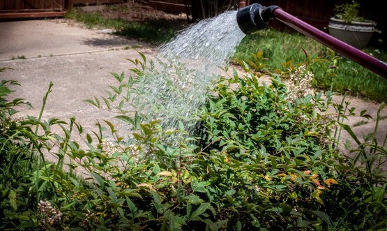Water wand