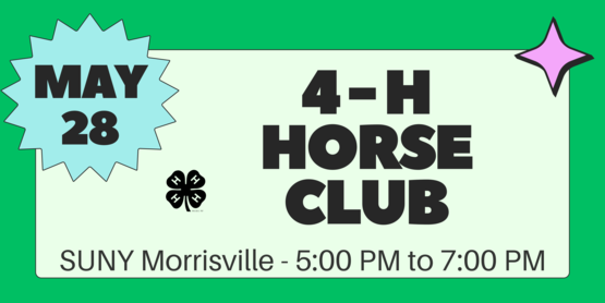 Horse Club