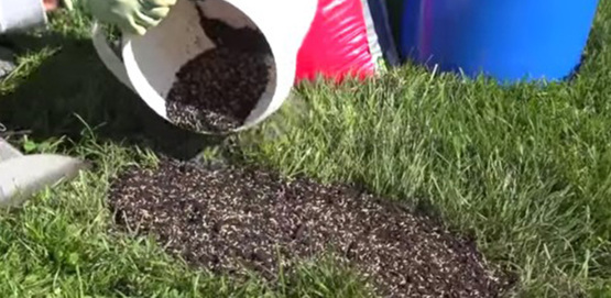 patching weak spots in a lawn.  area without grass in a lawn, hand with bucket pouring soil on the spot