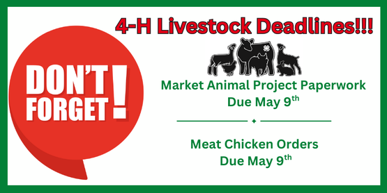 4-H Market Animal Project Paperwork Due & Meat Chicken Order