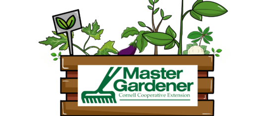 Container Gardening Workshop and Seedling Swap 2025 save the date