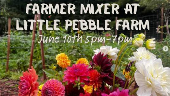 BANNER Little Pebble Farm FM
