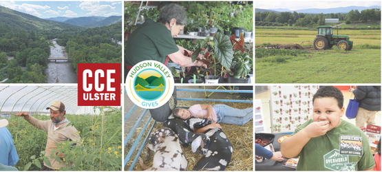 HV Gives 2026 header image