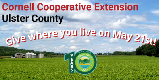 Give where you live on May 21st and support CCE Ulster!