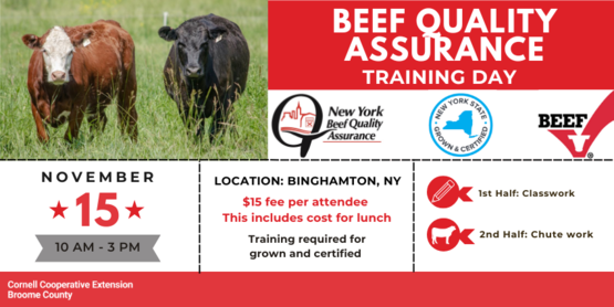 BQA Training 