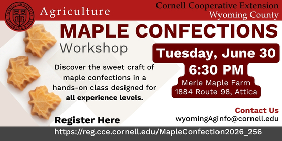 MAPLE CONFECTION