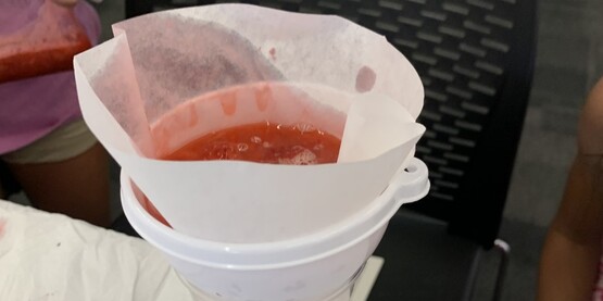 Strawberry DNA extraction
