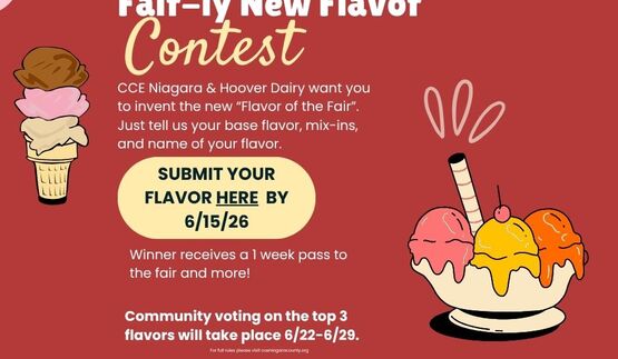 Ice Cream Contest 2026