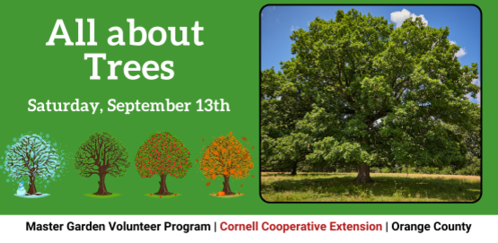 All about Trees!
Saturday, September 13
Master Gardener Volunteer Program
Cornell Cooperative Extension