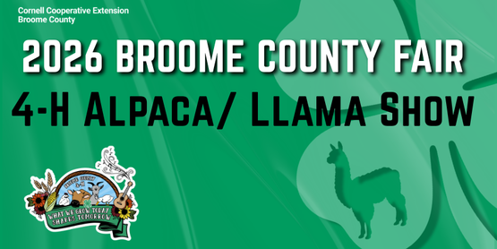4-H Alpaca / Llama Show 2026