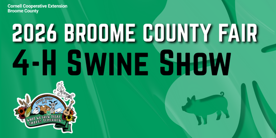 4-H Swine Show 2026