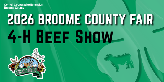 4-H Beef Show 2026
