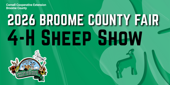 4-H Sheep Show 2026