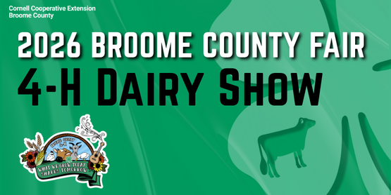 4-H Dairy Show 2026