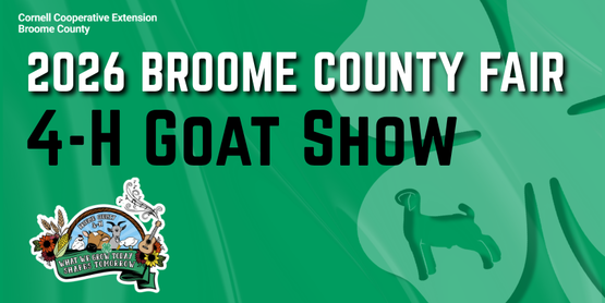 4-H Goat Show