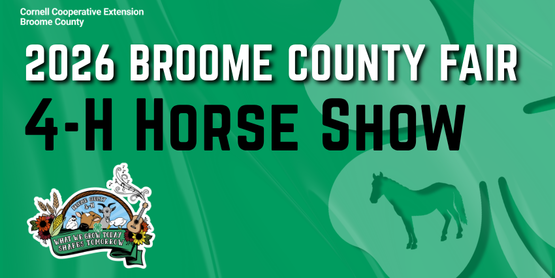 4-H Horse Show 2026