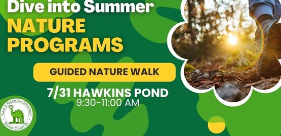 Guided Walk