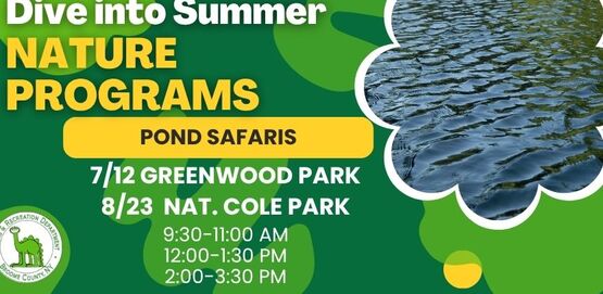 Pond safaris