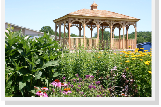 demo garden