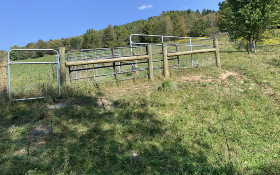 Healing Waters Farm Fencing system 