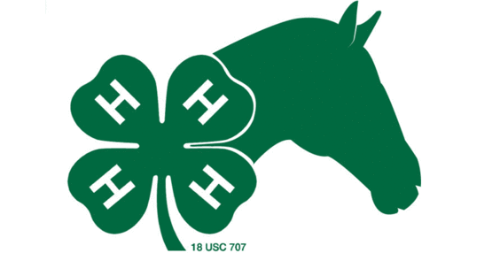 4-H Horse graphic