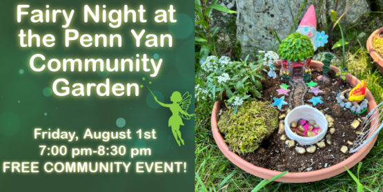 PYCG Fairy Night